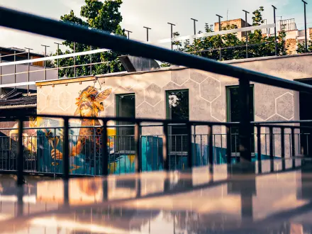 The Hive Party Hostel Rooftop Bar Vibes