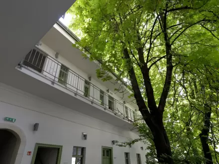 The Hive Party Hostel Courtyard