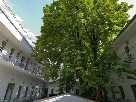 The Hive Party Hostel Inner Court