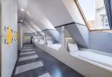 Mixed Dorms